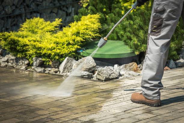 Professional  Pressure Washing Services in Point Of Rocks, MD