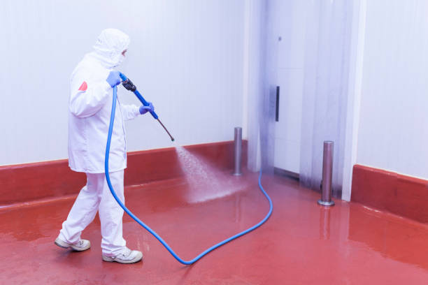Best Driveway Pressure Washing  in Point Of Rocks, MD
